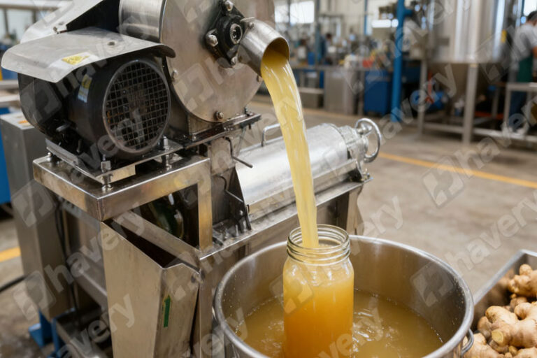 ginger juice extractor machine