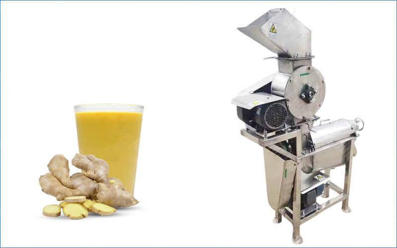 ginger juice extractor machine