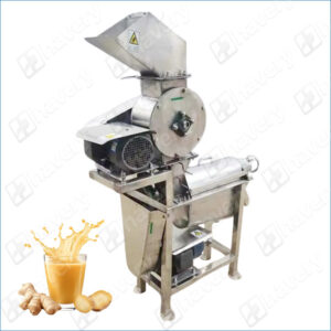 ginger juice extractor machine