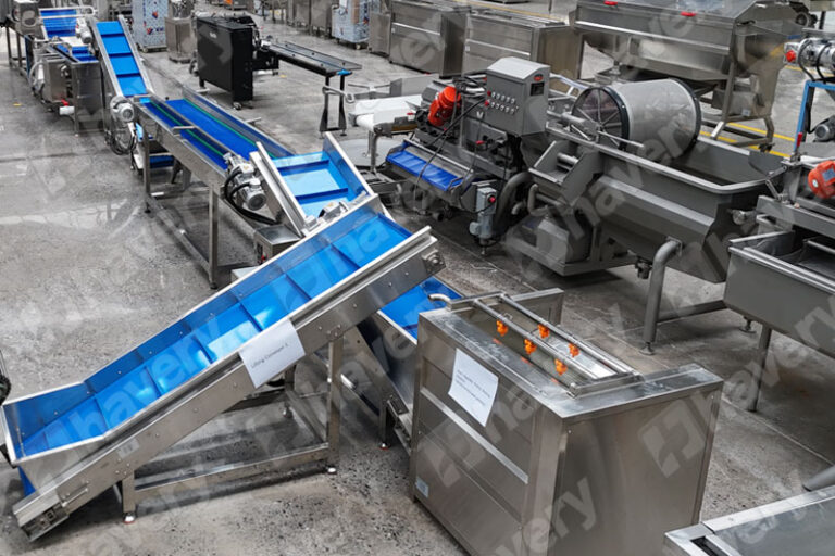 ginger powder production line