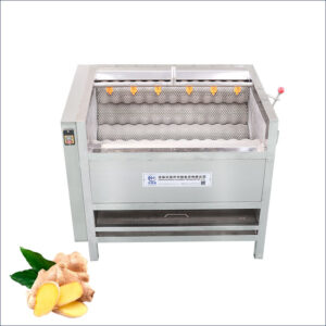 ginger washing and peeling machine