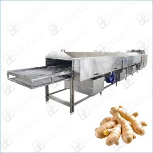 ginger washing machine