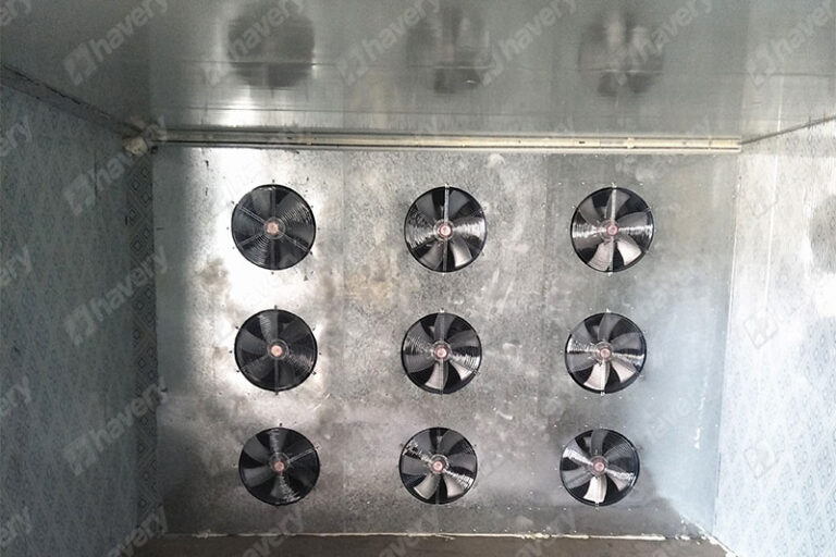 heat pump ginger dryer