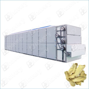 mesh belt ginger dehydrating machine