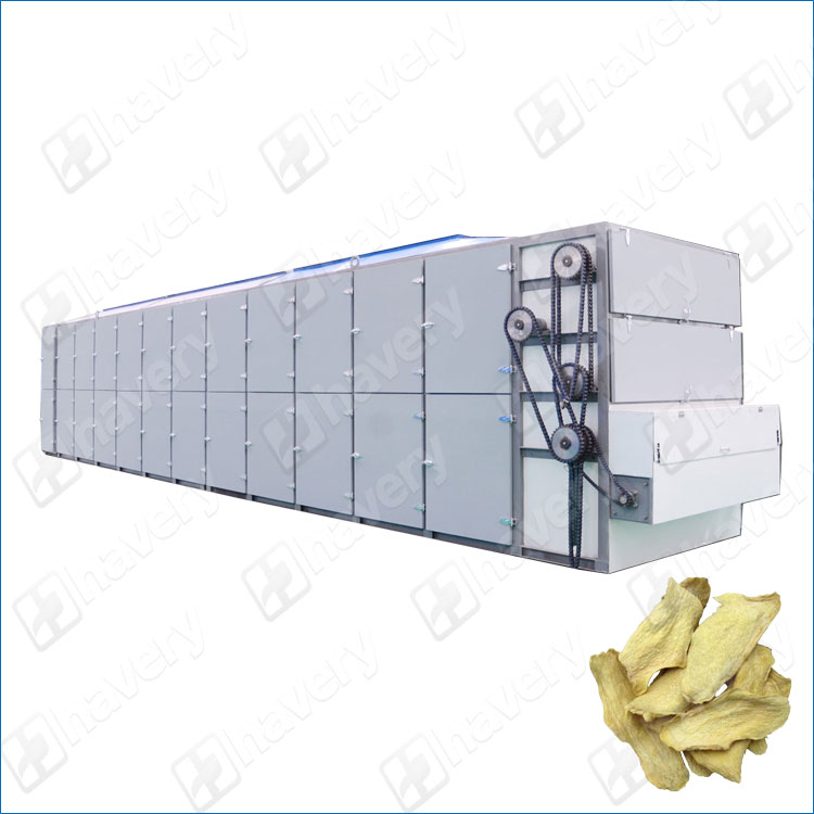 mesh belt ginger dehydrating machine