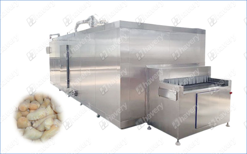 IQF Ginger freezer