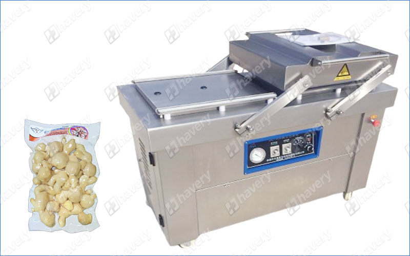 automatic vacuum packer
